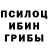 Галлюциногенные грибы ЛСД Vasia Bukin
