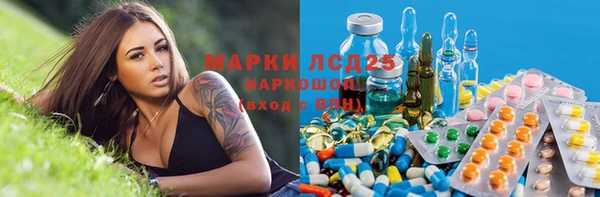 тгк Богданович