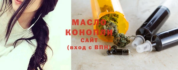 дживик Богородицк