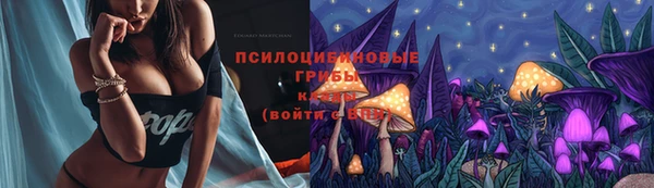 дживик Богородицк