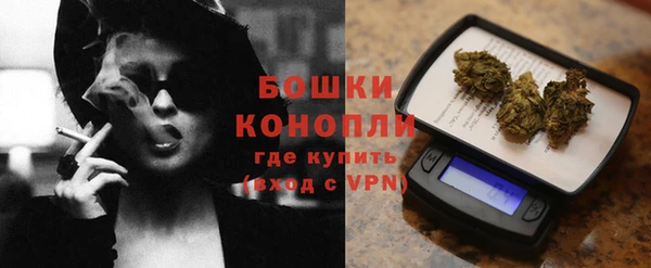 дживик Богородицк