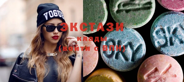 дживик Богородицк