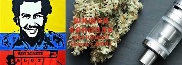 дживик Богородицк
