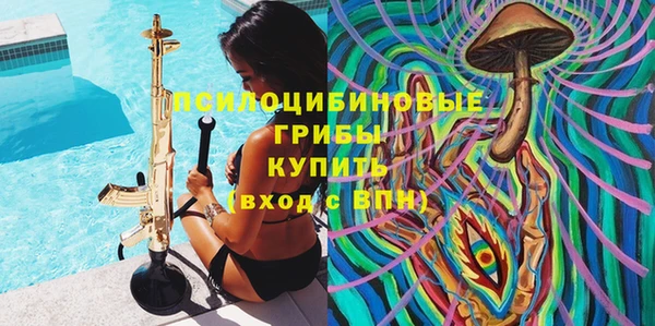 тгк Богданович