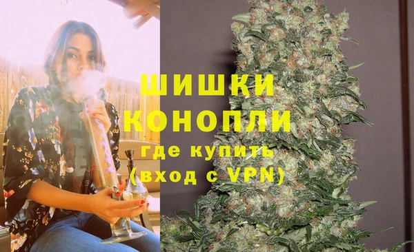 дживик Богородицк